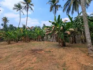 Land For Sale In Mirigama