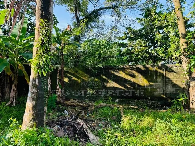 Land For Sale With a House Perch Value Mulleriyawa Angoda