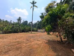 Land For Sale In Mirigama