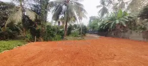 12P Paddy Field Facing Bare Land For Sale In Malabe