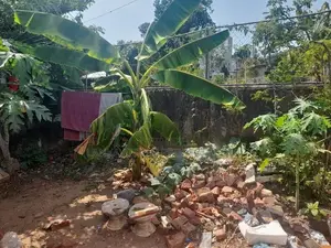 Moratuwa Francisco Place 7 Perches Land for Sale
