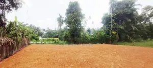 12P Paddy Field Facing Bare Land For Sale In Malabe