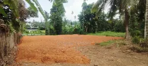 12P Paddy Field Facing Bare Land For Sale In Malabe