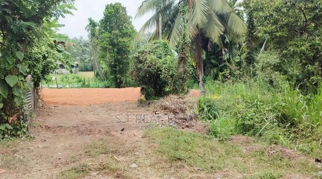 12P Paddy Field Facing Bare Land For Sale In Malabe