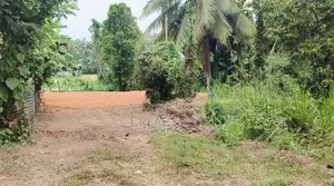 12P Paddy Field Facing Bare Land For Sale In Malabe