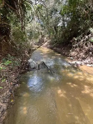 13.5 Acres Agricultural Land Sale in Puttalam