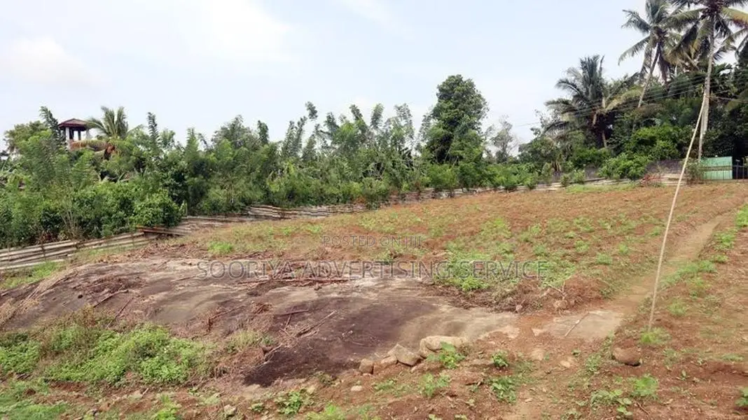 Cultivated Land in Gonapola