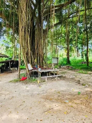 (AF791) 1310 P ( 08 Acre 30 Perches ) Land Sale At Sinimodara Tangle