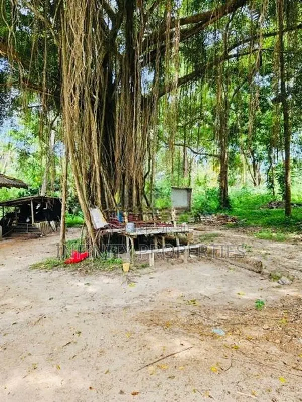 (AF791) 1310 P ( 08 Acre 30 Perches ) Land Sale At Sinimodara Tangle