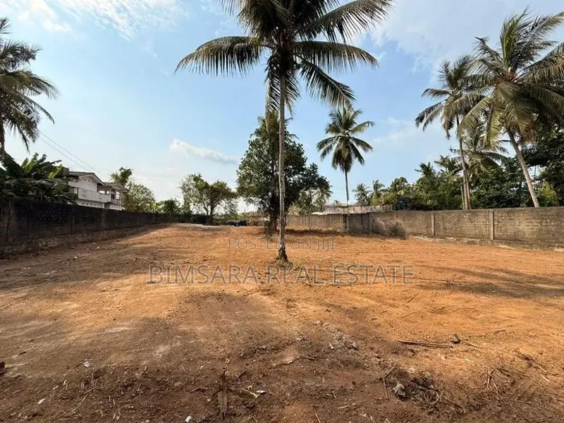 Prime 49P Commercial Land for Sale in Panagoda | SL14795