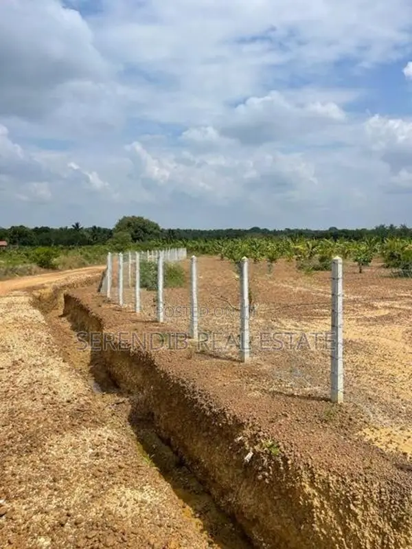 13.5 Acres Agricultural Land Sale in Puttalam