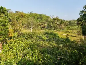 80 Perch Land for Sale in Galle – Main Road Facing Property