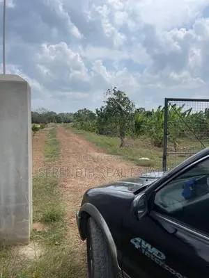13.5 Acres Agricultural Land Sale in Puttalam