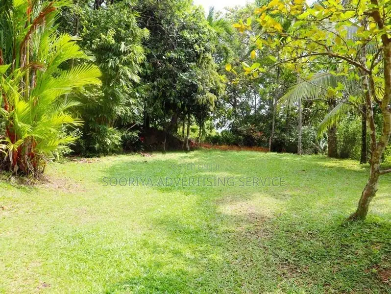 Land with House for Sale in Galle – Ideal Tourism Project