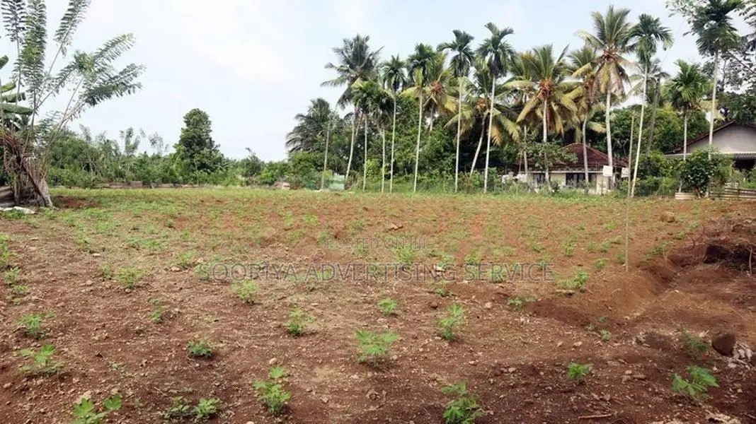 Cultivated Land in Gonapola