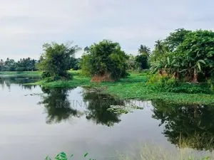 (AF803) Water Front 13.5 P Land Sale At Nugegoda