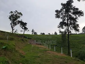 View Point Land Nuwaraeliya Road
