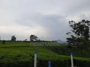 View Point Land Nuwaraeliya Road