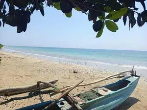 (AFA90) Beach Facing 1206 Perch Land Sale At Passikudah