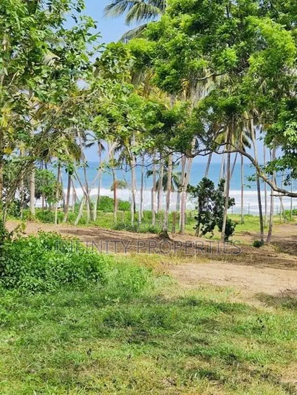 (AFA93) Beach Facing 1310 P ( 08 Acre 30 Perches ) Land Sale At Tangle