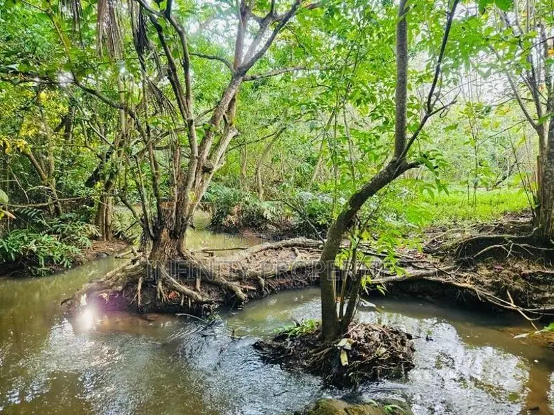 (AFA93) Beach Facing 1310 P ( 08 Acre 30 Perches ) Land Sale At Tangle