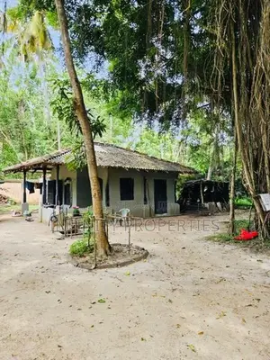 (AFA93) Beach Facing 1310 P ( 08 Acre 30 Perches ) Land Sale At Tangle