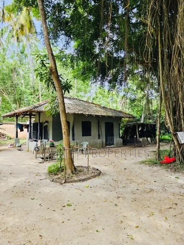 (AFA93) Beach Facing 1310 P ( 08 Acre 30 Perches ) Land Sale At Tangle