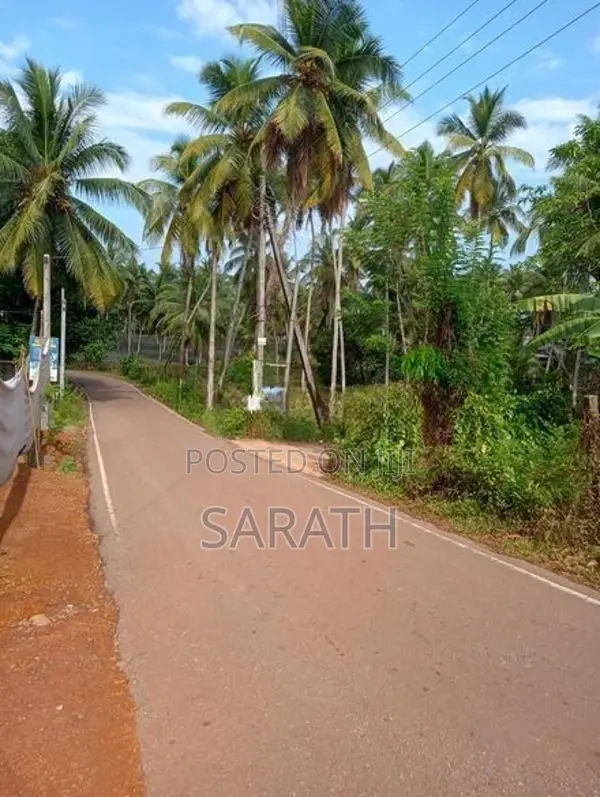 Immediately Sale Valuable land In Delgoda