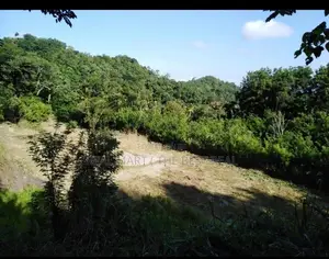 Galagedara : 303 Perches Land for Sale