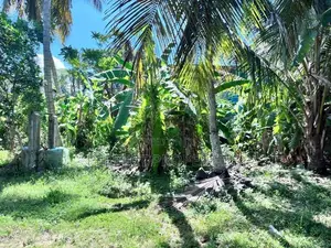Perfect Land for Sale – Kandana - 229m to Col-Neg Main Road