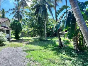 Perfect Land for Sale – Kandana - 229m to Col-Neg Main Road