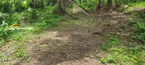 Land for sale kuda bollatha