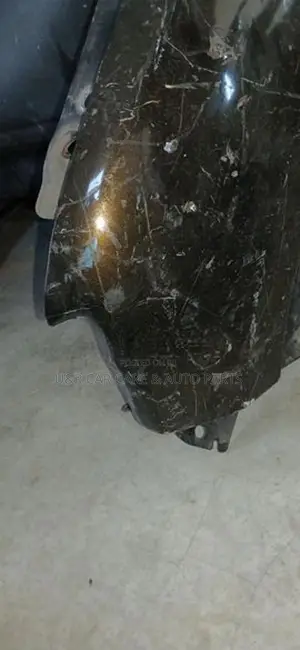 Renault Kwid Fender(small Damage)