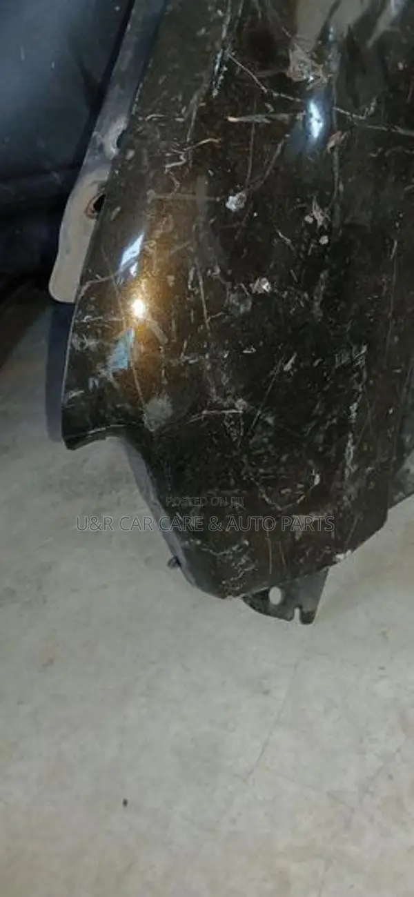 Renault Kwid Fender(small Damage)