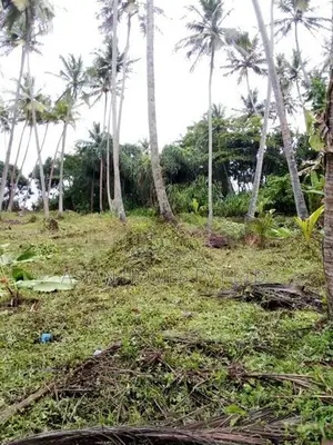 260P Beach Front Land for Sale in Ambalangoda