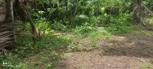 Land for sale kuda bollatha