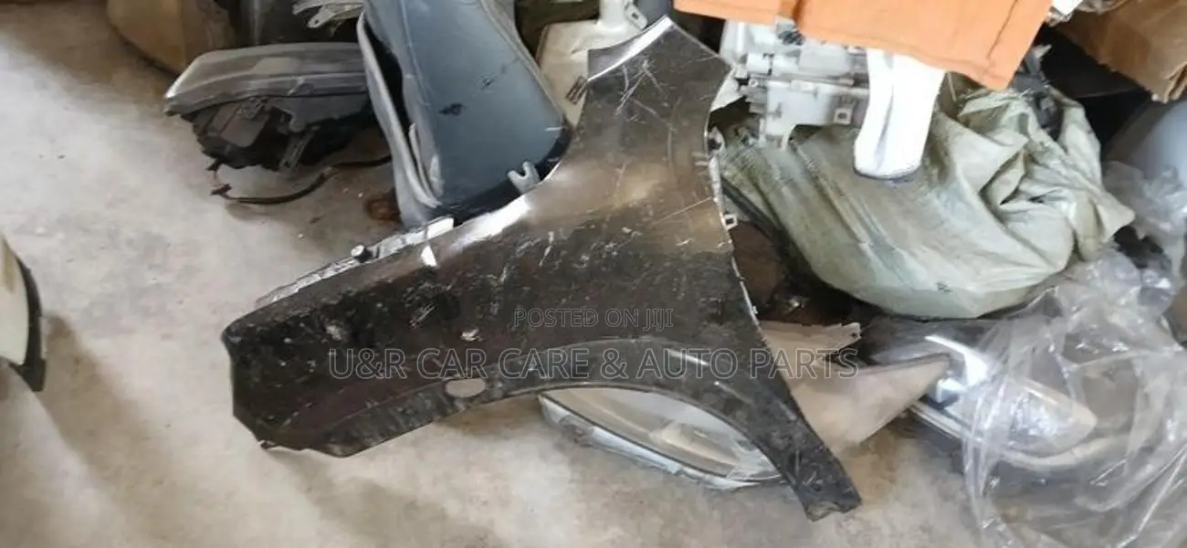 Renault Kwid Fender(small Damage)
