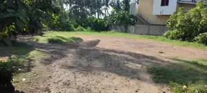 260P Beach Front Land for Sale in Ambalangoda