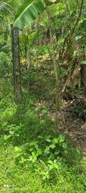 Land for sale kuda bollatha