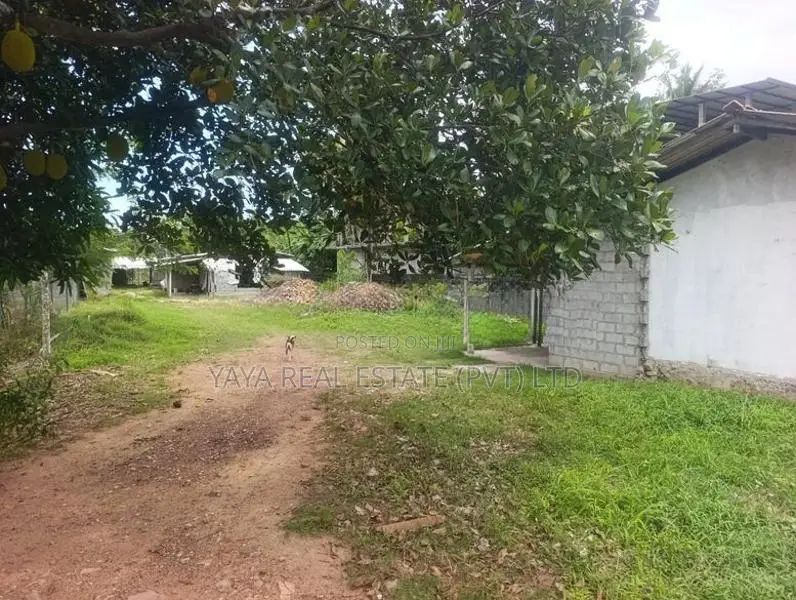 Residential Land For Sale In Pannipitiya
