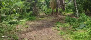 Land for sale kuda bollatha