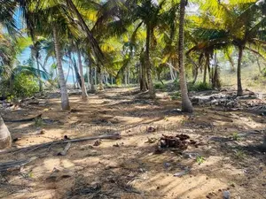 (AFA98) Beach Facing 400 P Land Sale At Kahadamodara Tangle