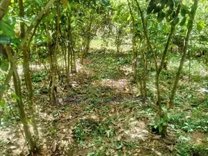 (AFA108) 28 Acres Highly Commercial Estate in Eheliyagoda for Sale