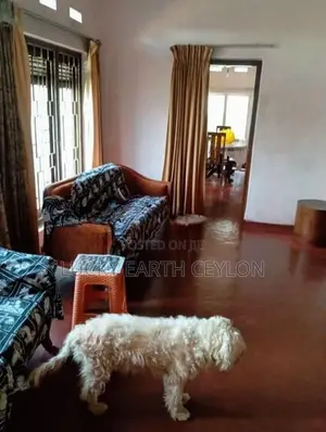 Maharagama , Unfurnished,1 Storey Commercial House for Rent (MG1315)