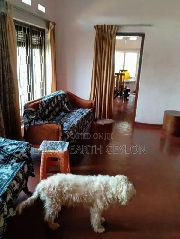 Maharagama , Unfurnished,1 Storey Commercial House for Rent (MG1315)