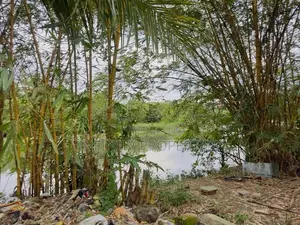 (AFA127) 20.2 P LAND SALE AT Walawwatha Road Galpotha Nawala