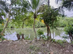 (AFA127) 20.2 P LAND SALE AT Walawwatha Road Galpotha Nawala