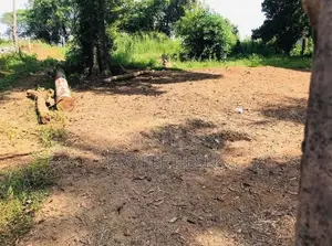 Ragama Thewatta Road 6.17 Perches Land for Sale