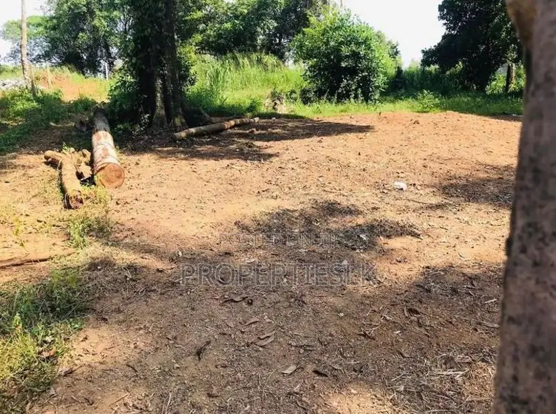 Ragama Thewatta Road 6.17 Perches Land for Sale