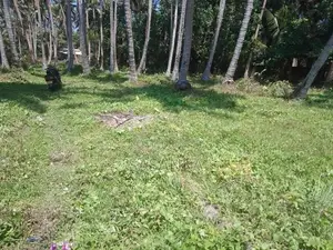 Galle Seenigama 15 Perches Land for Sale